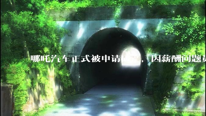 哪吒汽车正式被申请破产，因薪酬问题员工已两月没去上班，被申请破产意味着什么？员工权益还能得到保障吗？